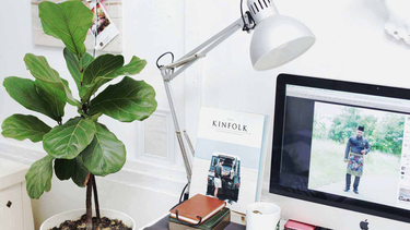 Planten voor betere slaap